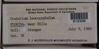 Image Associated With the Occurence